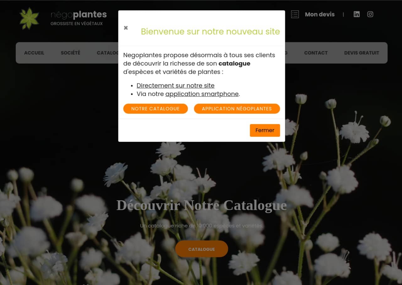 Negoplantes : des plantes de qualité au meilleur prix !