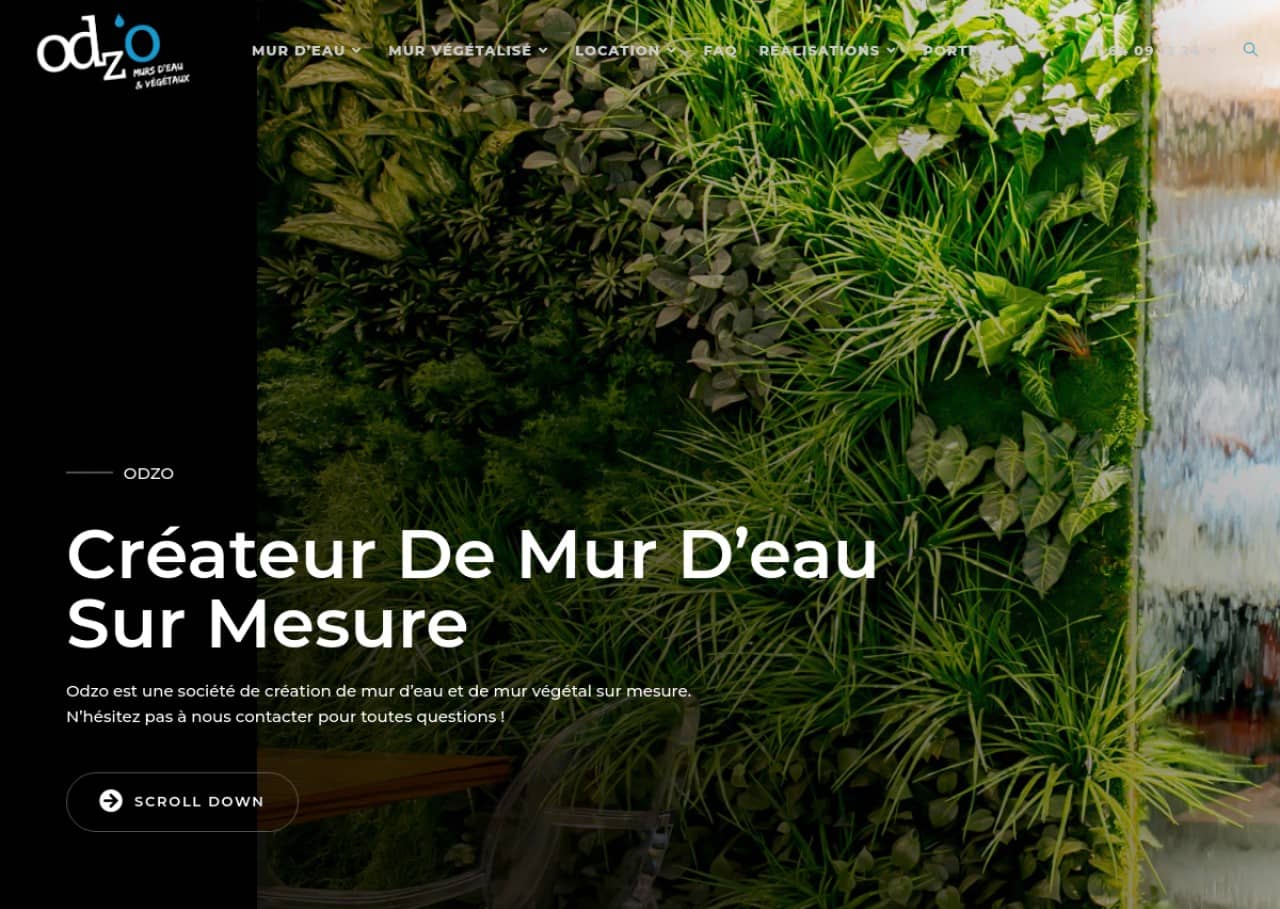 Odzo : mur d'eau aquatique et végétal sur mesure