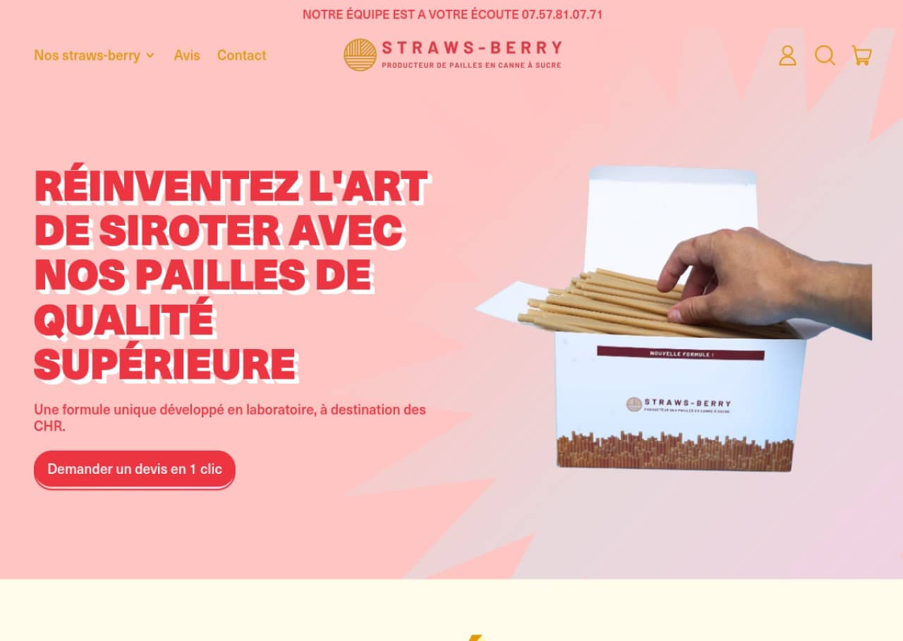 Straws-berry : paille écologique en fibre de canne à sucre