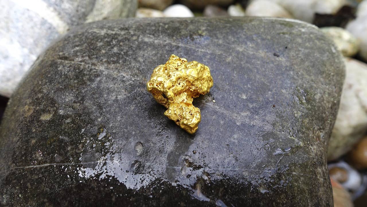 Une pépite d’or sur un rocher de rivière (Crédit : Hans)