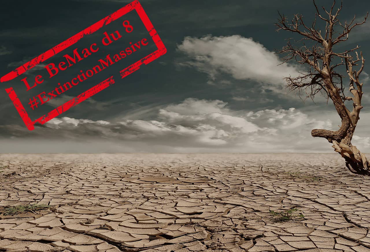 Journée mondiale du climat - désert aride