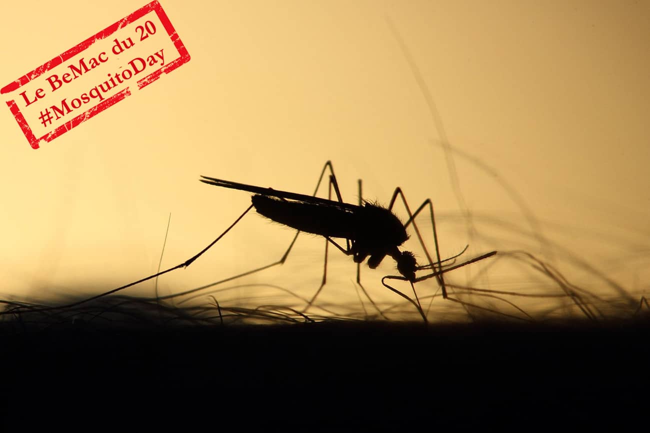 Silhouette d’un moustique sur un bras (Crédit : Emphyrio)