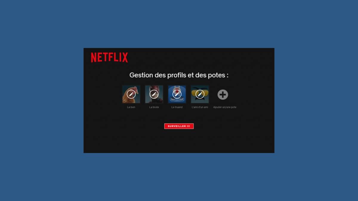 Gestion des profils sur Netflix et comptes amis 