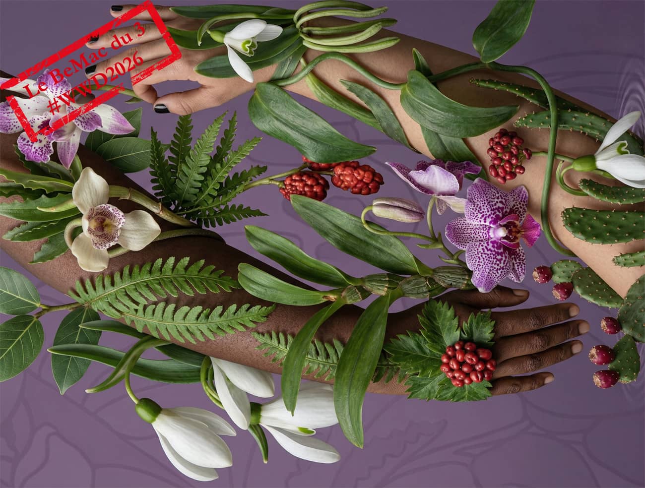 Des plantes sauvages et médicinales autour de deux mains (Crédit : Alex.I)