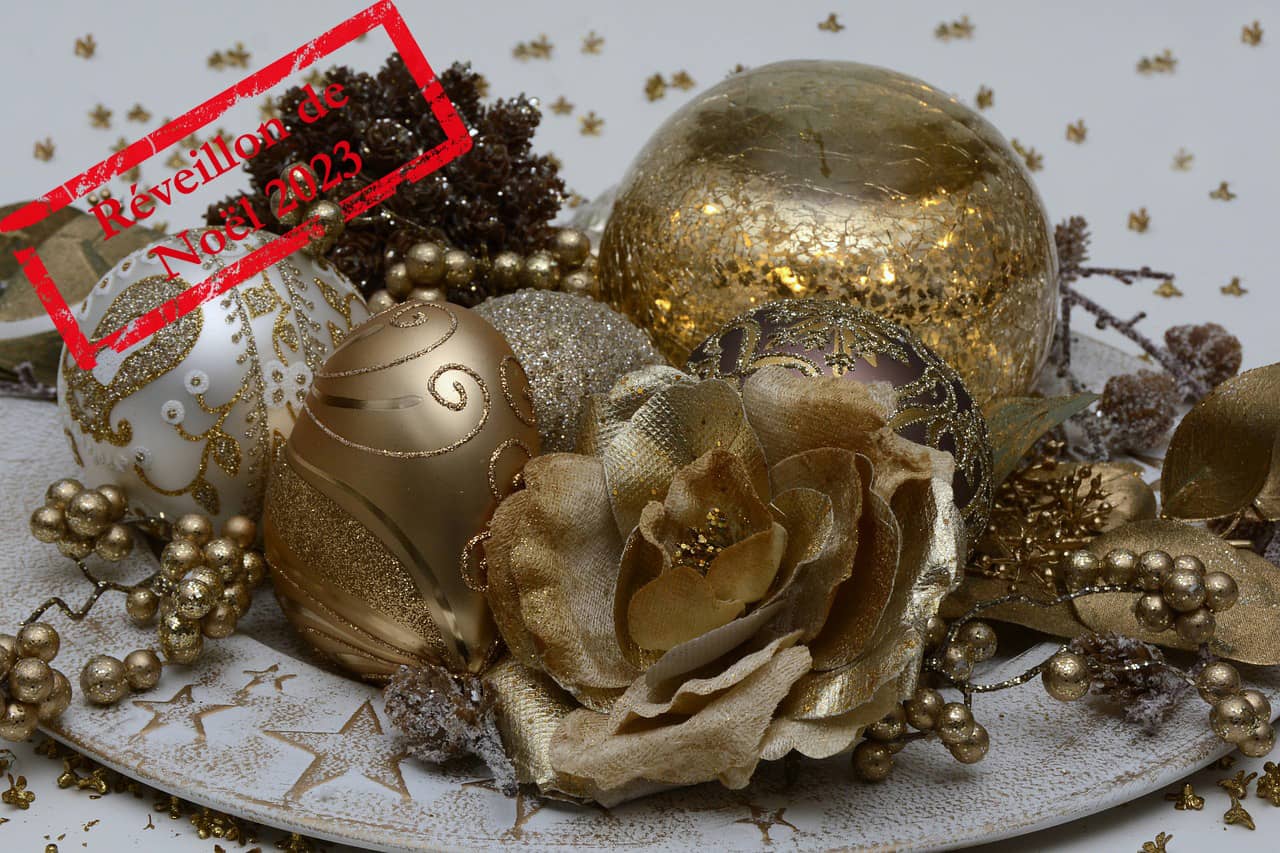 Voeux PPS, MMS, SMS et RCS du réveillon de Noël 2023 - TSO