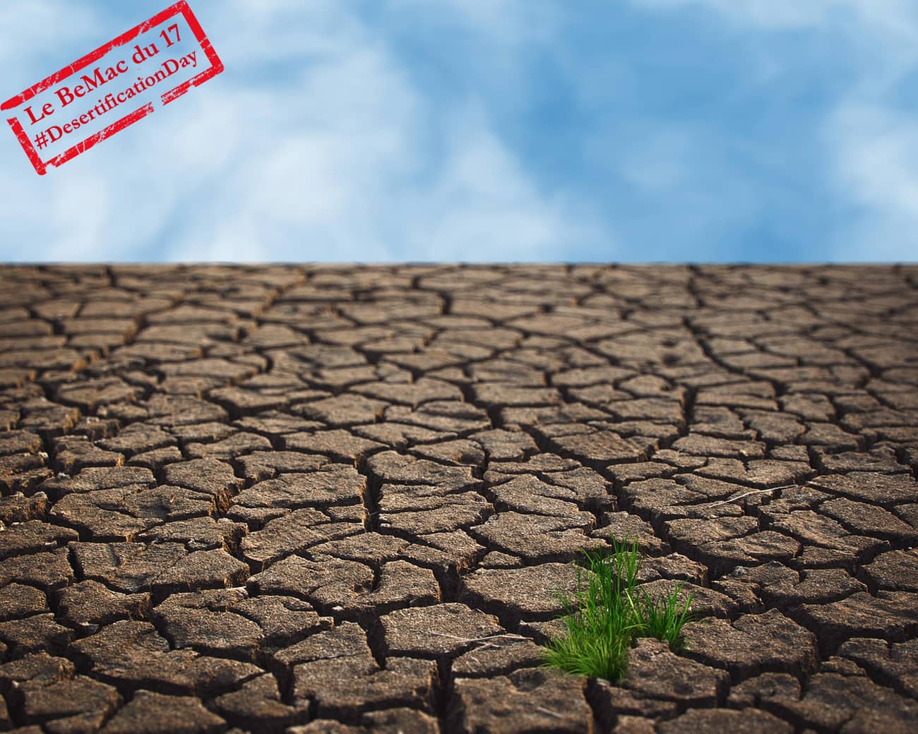 La sècheresse de la terre avec le retour de la verdure (Crédit : Susan-lu4esm)