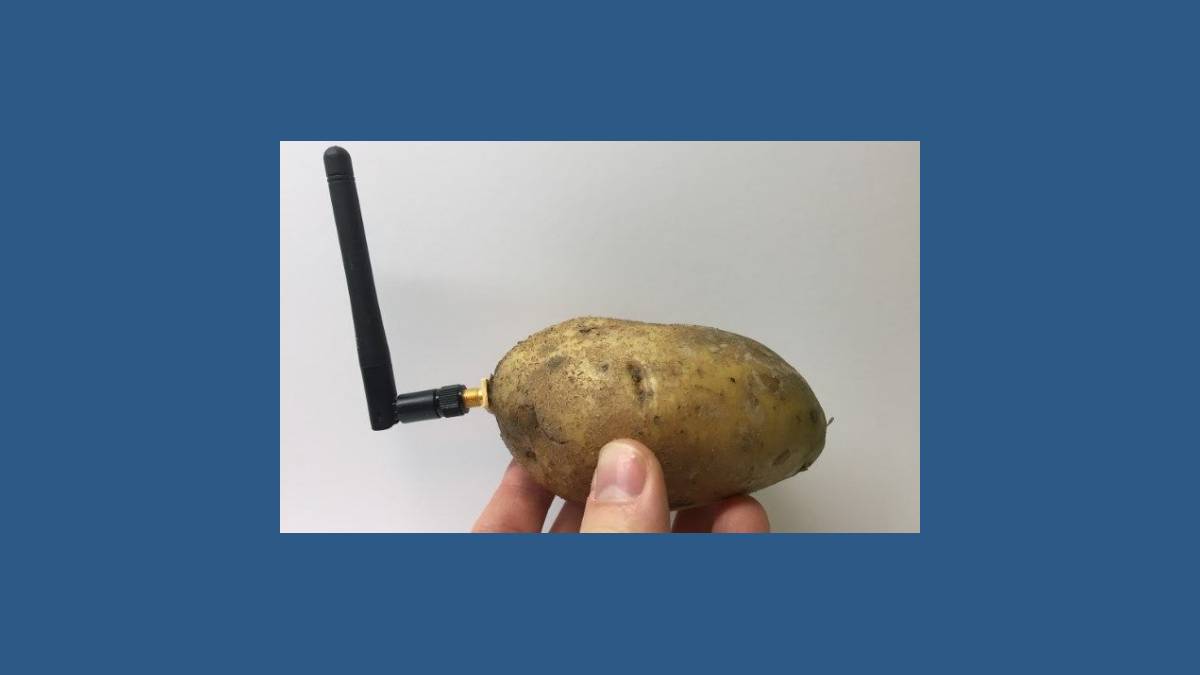 Potato - La première pomme de terre bluetooth 