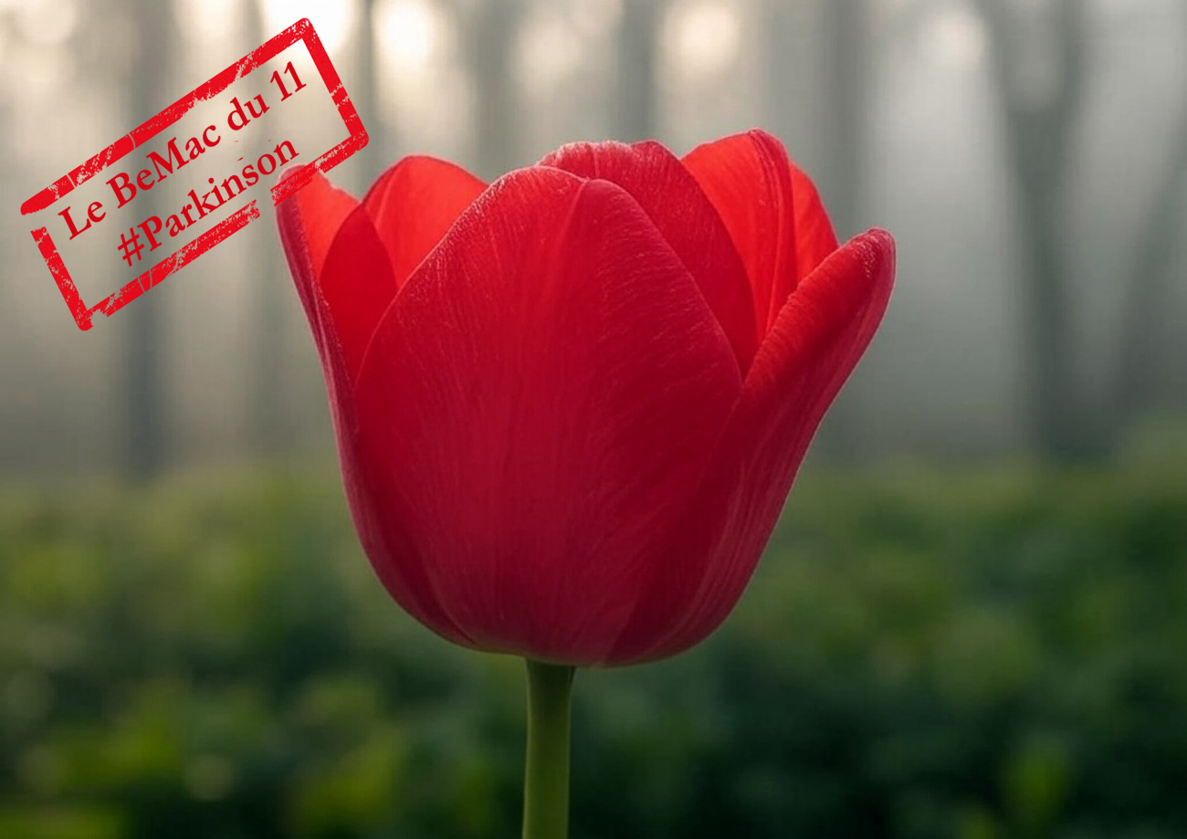 La tulipe rouge : symbole mondial de la maladie de Parkinson (Crédit : Alex.I Grok)