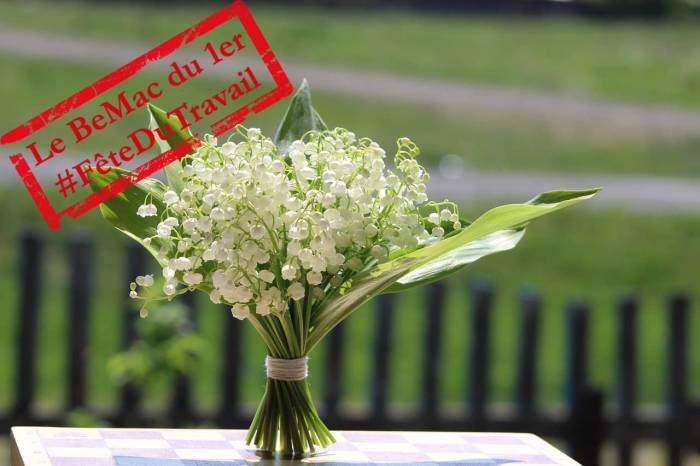 Un bouquet de brins de muguet pour le 1er mai (Crédit : Lyubmalee)