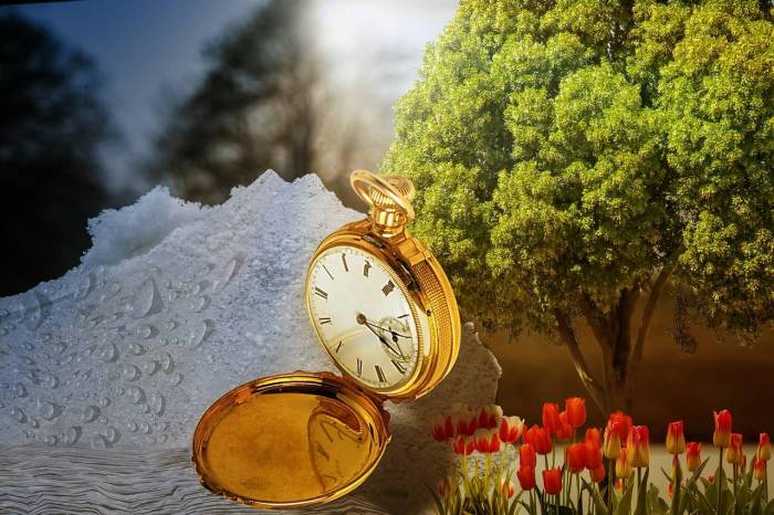 Une montre entre neige et tulipes symbolise le changement d’heure et de saison (Crédit : BirgitKeil)