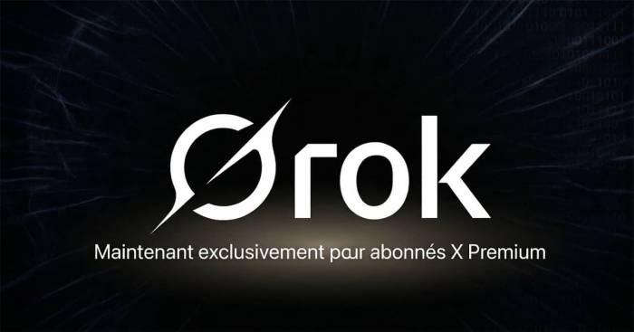Le logo de Grok exclusivement pour abonnés X premium (Crédit : X)