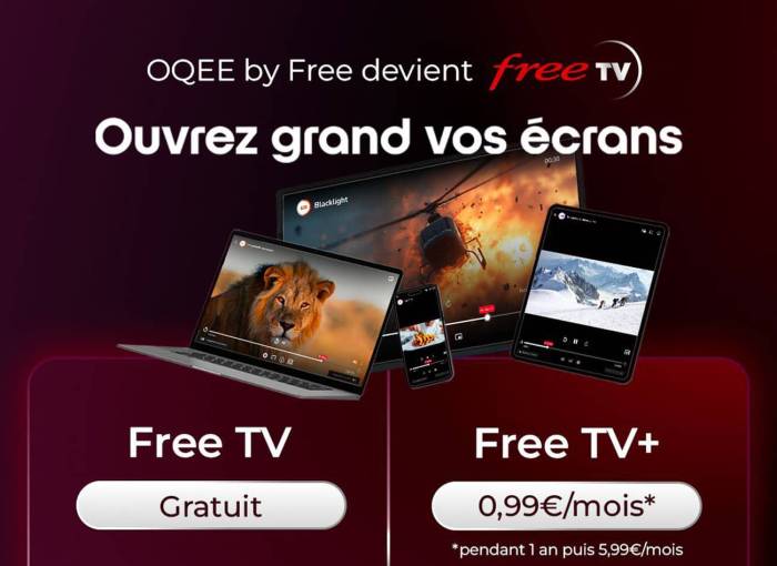 OQEE by Free devient Free TV (Crédit : Xavier Niel sur X)