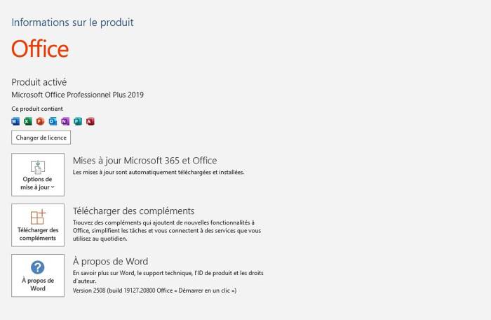 Page d’information produit Office 2019 : produit activé (Crédit : Office 2019 Pro)