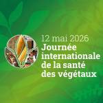 Affiche officielle Journée internationale de la santé des végétaux 2026 (Crédit : FAO)