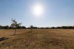 Un parc à l’herbe jaunie lors de la canicule, sous un soleil de plomb (Crédit : Alex.I)