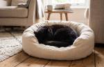 Un chat noir qui dort sur son couffin dans le salon (Crédit : Alex.I)