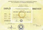 Spécimen du diplôme national du brevet pour les résultats du DNB 2026 