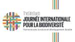 Logo Journée internationale de la biodiversité 2025 (Crédit : CBD/TSO)