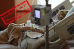 Journée mondiale de la sécurité des patients : une patiente dans un lit d’hôpital