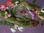 Des plantes sauvages et médicinales autour de deux mains (Crédit : Alex.I)