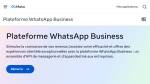 Page web de la Plateforme WhatsApp Business (Crédit : capture Meta)