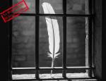 Une plume d’écrivain emprisonnée ( Crédit Alex.I )