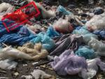 Des sacs plastiques dans la nature (Crédit : TheDigitalArtist)