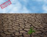 La sècheresse de la terre avec le retour de la verdure (Crédit : Susan-lu4esm) La sècheresse de la terre avec le retour de la verdure (Crédit : Susan-lu4esm)
