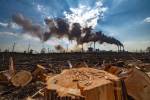 Une souche d’arbre devant une usine polluante (Crédit : Alex.I)