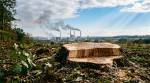 Souche d’arbre et pollution industrielle dans un ciel bleu (Crédit : Alex.I)