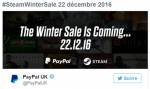Le Steam Winter Sale Paypal/Steam