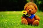 Un ours en peluche dans un jardin avec une fleur (Crédit : Alexas_Fotos)