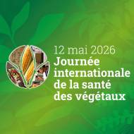 Affiche officielle Journée internationale de la santé des végétaux 2026 (Crédit : FAO)