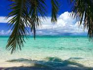 Une plage des Caraïbes aux Bahamas ( Crédit : Buckeyebeth )