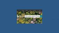 Bing : Forêt tempérée décidue en Picardie