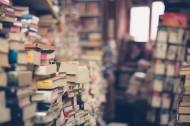 La diversité dans un empilement de livres dans une librairie (Crédit : EliFrancis)