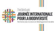 Logo Journée internationale de la biodiversité 2025 (Crédit : CBD/TSO)