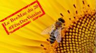 C’est la Journée mondiale des abeilles, mais aussi la fête des Voisins 2022 ce vendredi