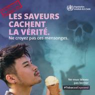 Les saveurs cachent la vérité, ne croyez pas ces mensonges  (Crédit : OMS)