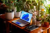 PC portable avec un arrière-plan Windows 11 entouré de plantes (Crédit : Rui Silvestre)