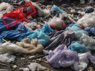 Des sacs plastiques dans la nature (Crédit : TheDigitalArtist)