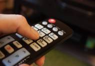 Une télécommande de télévision (Crédit : Maria_Domnina)