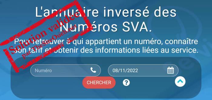 Capture du site Internet infosva.org pour les Services à Valeur Ajoutée